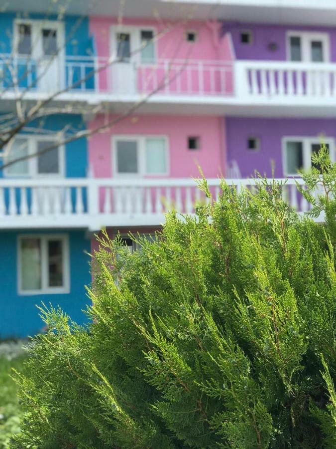 Casa Barbie Costinesti Vandrarhem Exteriör bild